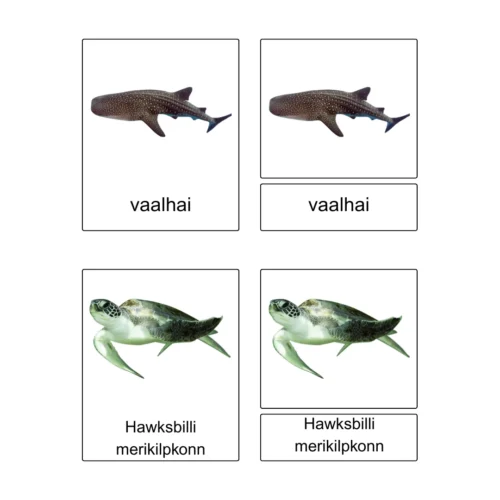 Kolmeosalised õppekaardid - Ohustatud liigid vees