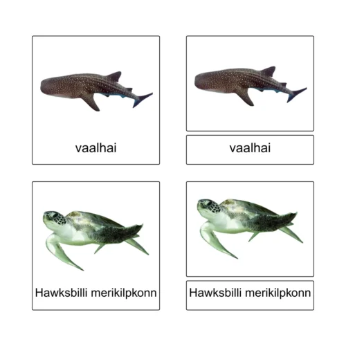 Ohustatud liigid vees - Montessori 3-osalised kaardid