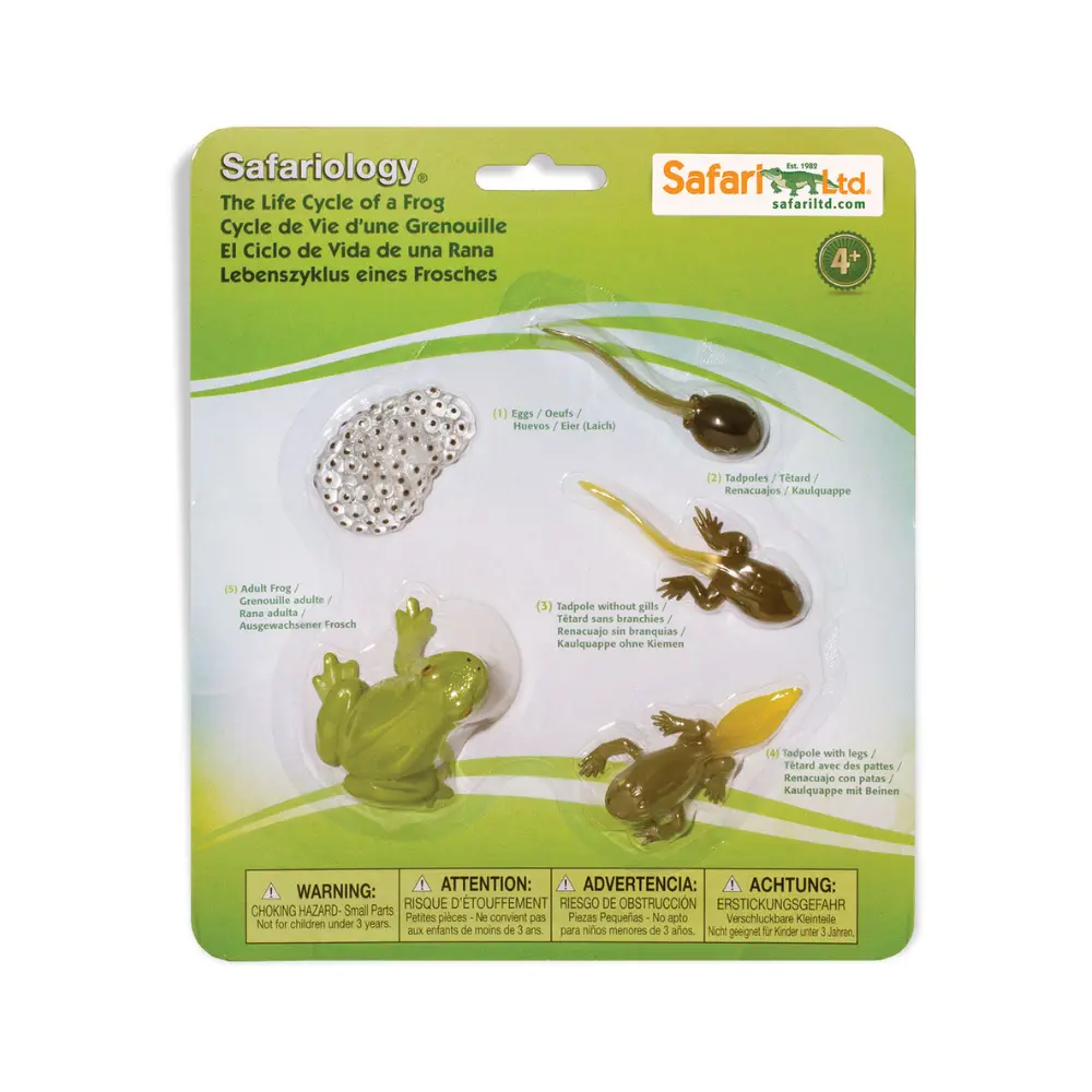 Konna eluring - Image 2