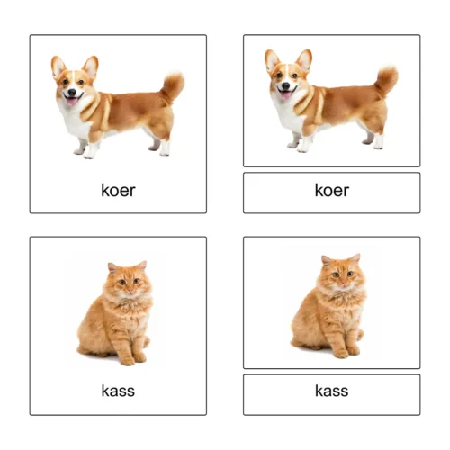 Lemmikloomad - 3-osalised õppekaardid