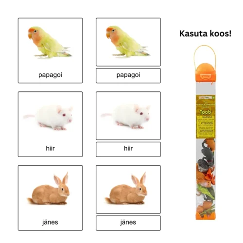 Lemmikloomad Montessori 3-Part Cards 2