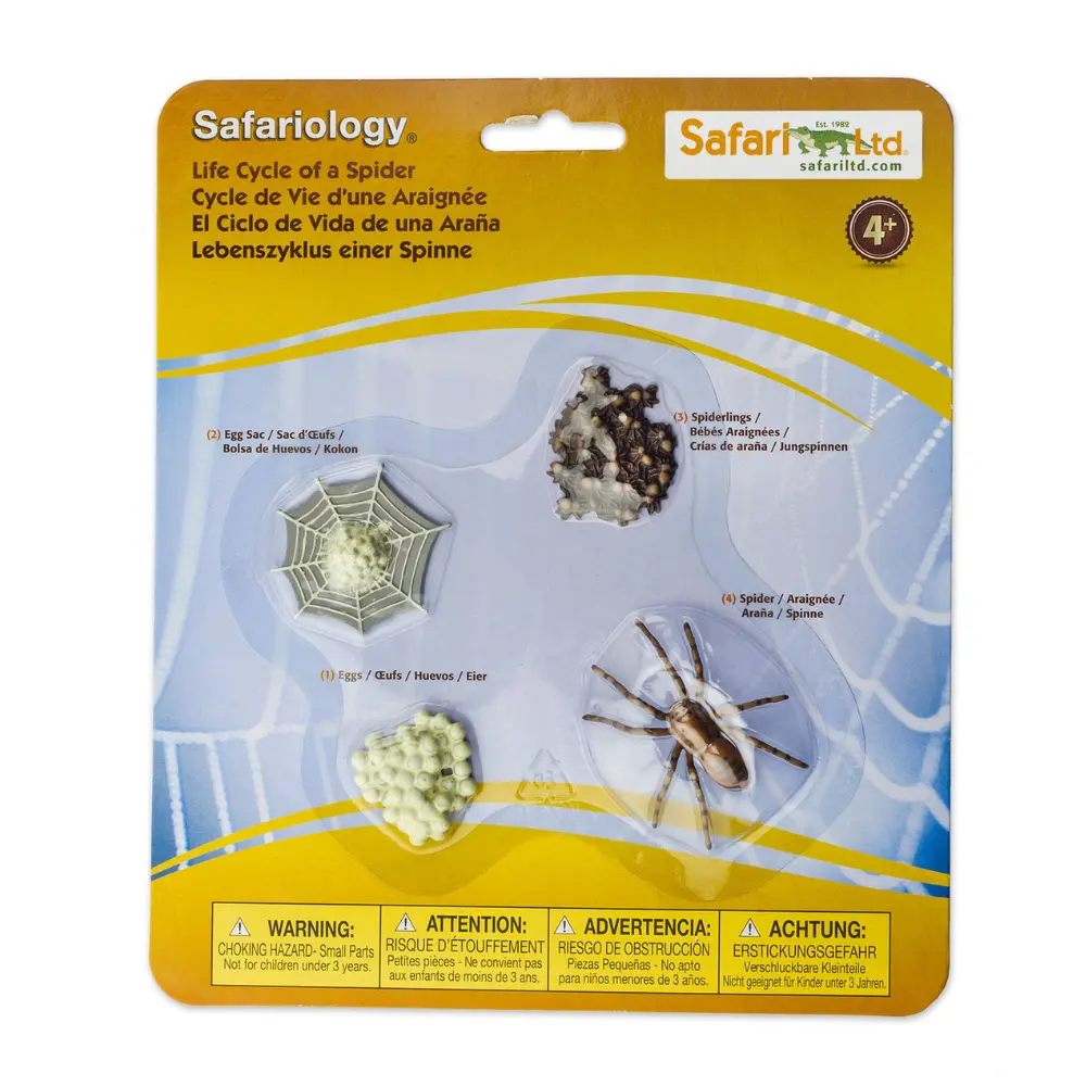 Ämbliku eluring - Image 2