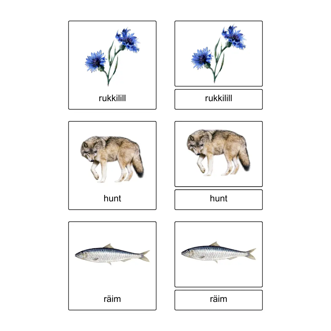 Eesti - 3-osalised õppekaardid - Image 2