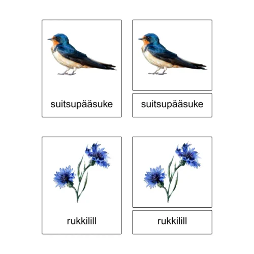 Kolmeosalised õppekaardid – Eesti 2