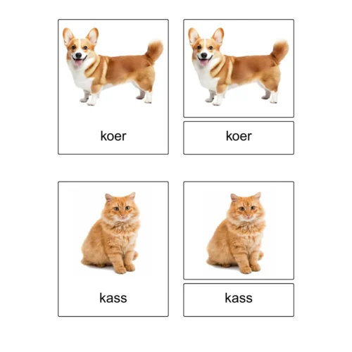 Kolmeosalised õppekaardid – Lemmikloomad