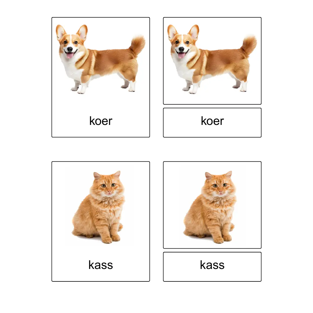 Kolmeosalised õppekaardid – Lemmikloomad