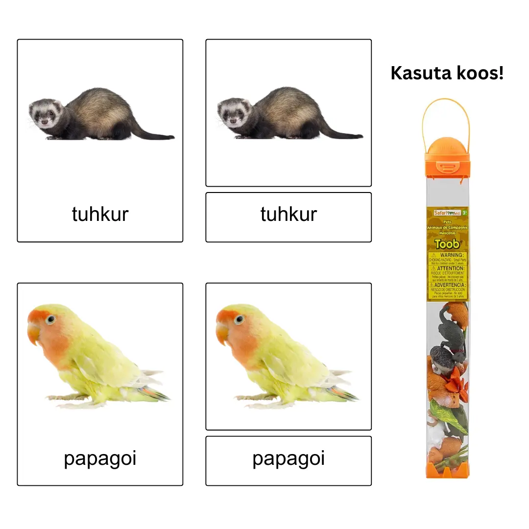 Kolmeosalised õppekaardid – Lemmikloomad - Image 2