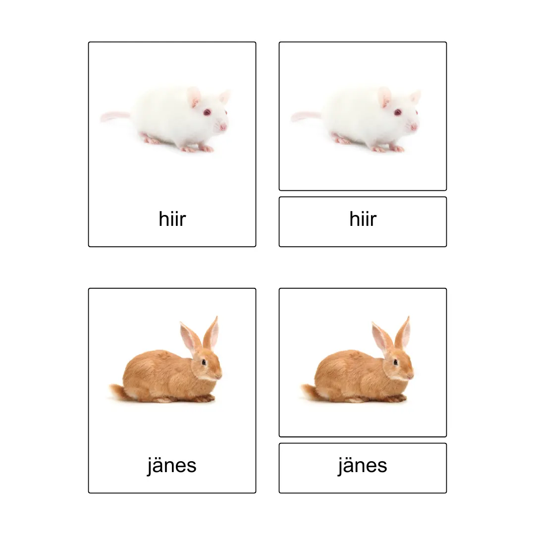 Kolmeosalised õppekaardid – Lemmikloomad - Image 3