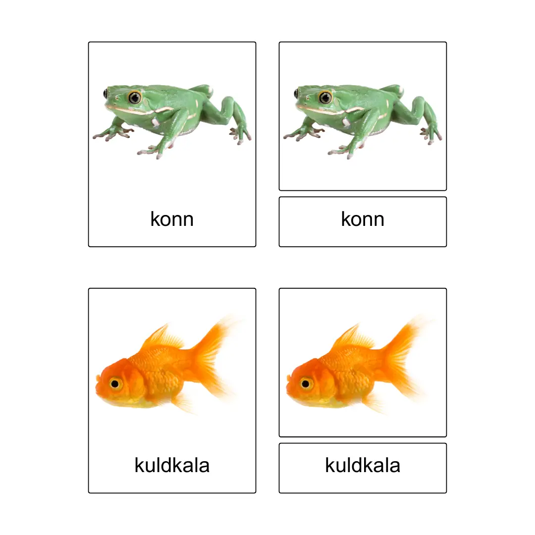 Kolmeosalised õppekaardid – Lemmikloomad - Image 4