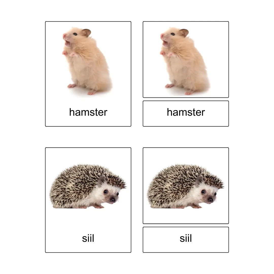 Kolmeosalised õppekaardid – Lemmikloomad - Image 5