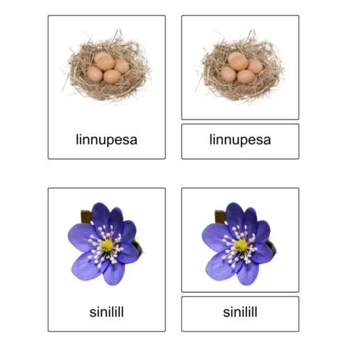 Kolmeosalised õppekaardid - Kevad