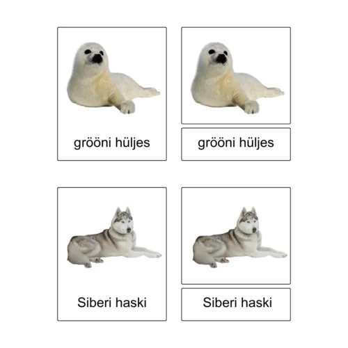 Kolmeosalised õppekaardid - Arktika loomad