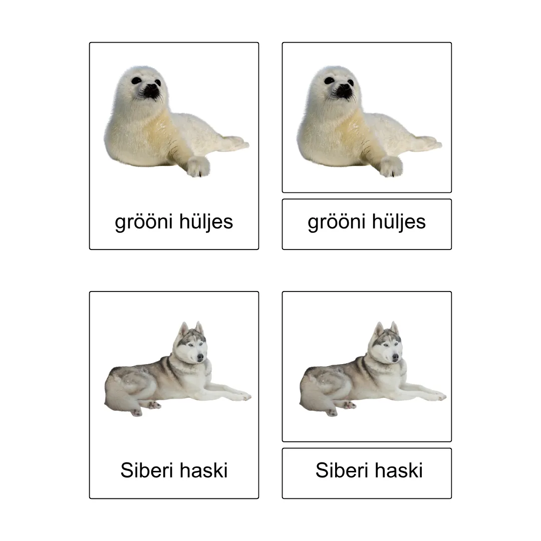 Kolmeosalised õppekaardid - Arktika loomad