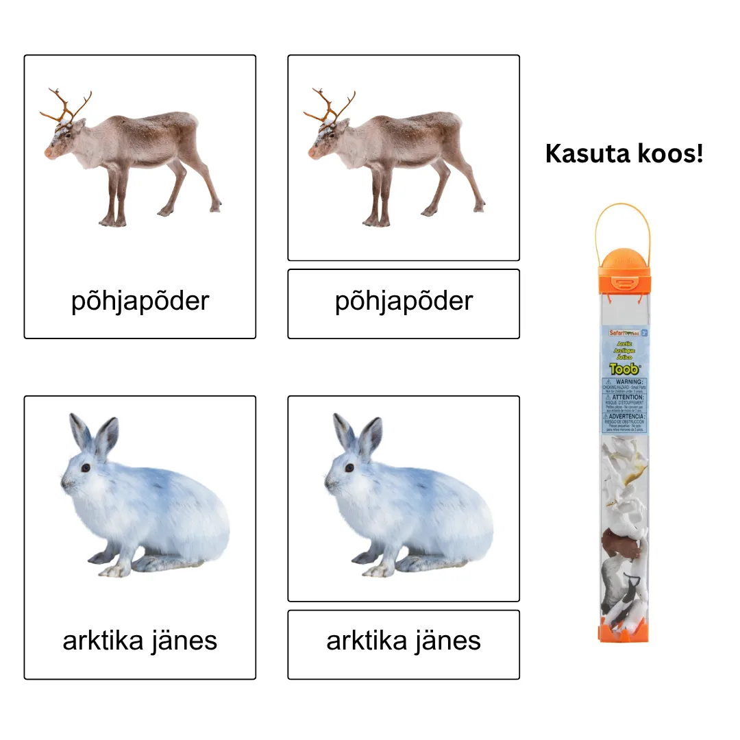 Kolmeosalised õppekaardid - Arktika loomad - Image 2