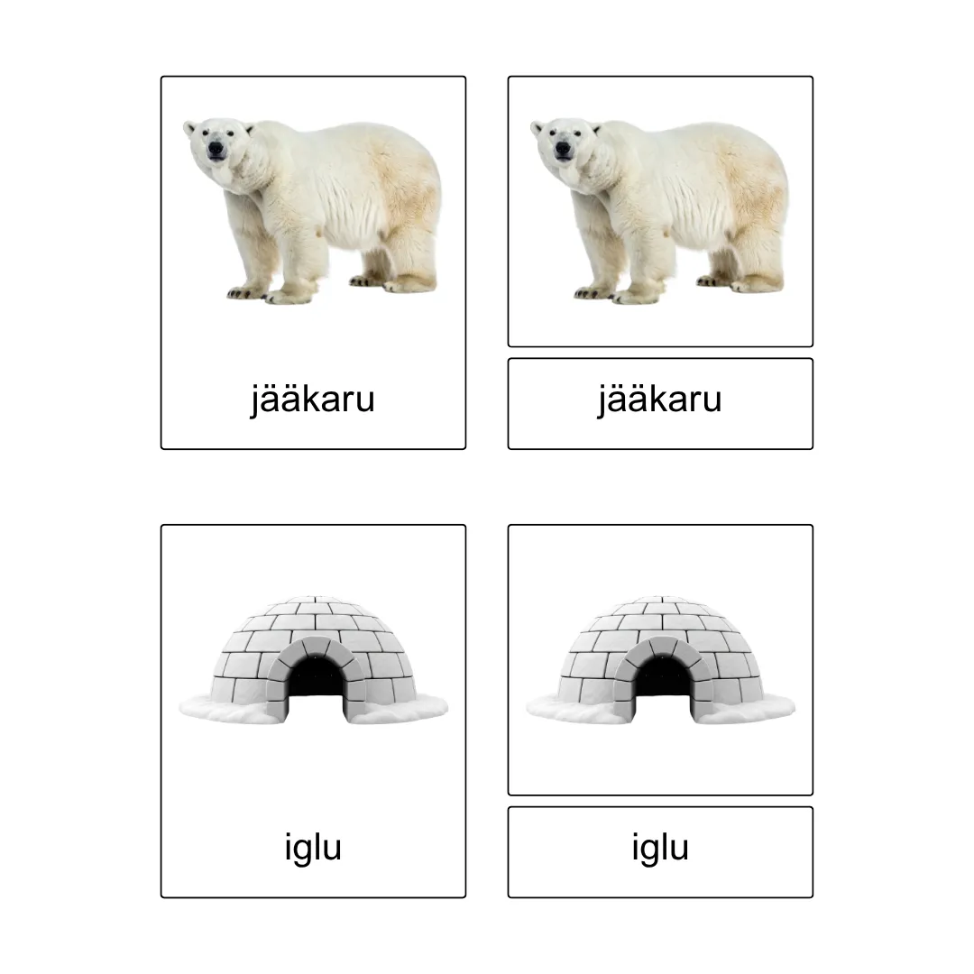 Kolmeosalised õppekaardid - Arktika loomad - Image 5