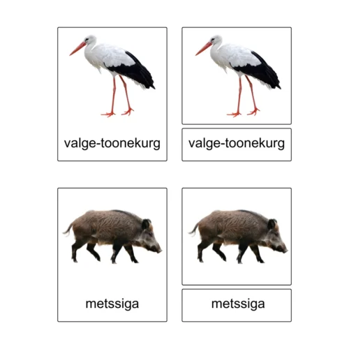 Kolmeosalised õppekaardid - Euroopa loomad