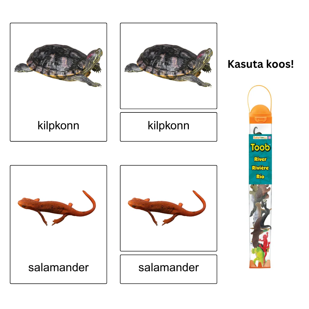 Kolmeosalised õppekaardid - Jõe äärsed loomad - Image 2