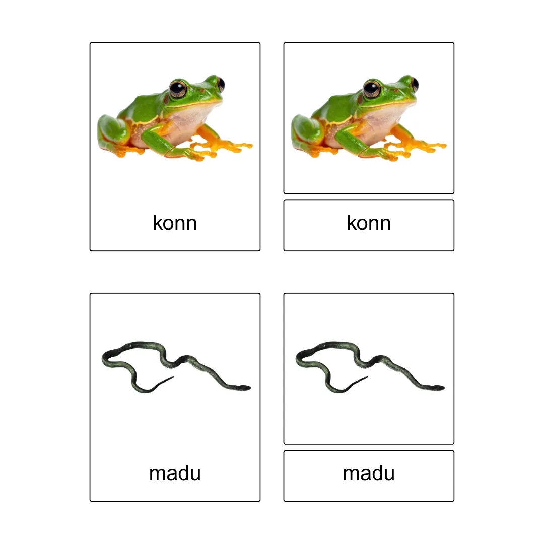 Kolmeosalised õppekaardid - Jõe äärsed loomad - Image 3