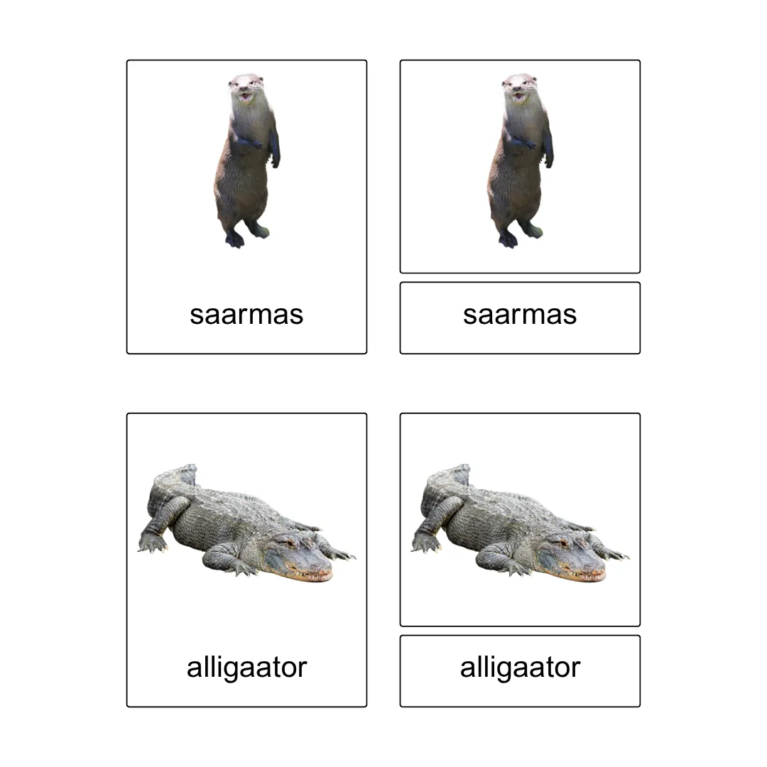 Kolmeosalised õppekaardid - Jõe äärsed loomad - Image 4