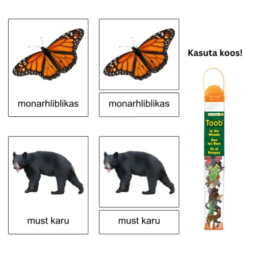 Kolmeosalised õppekaardid – Metsas 2