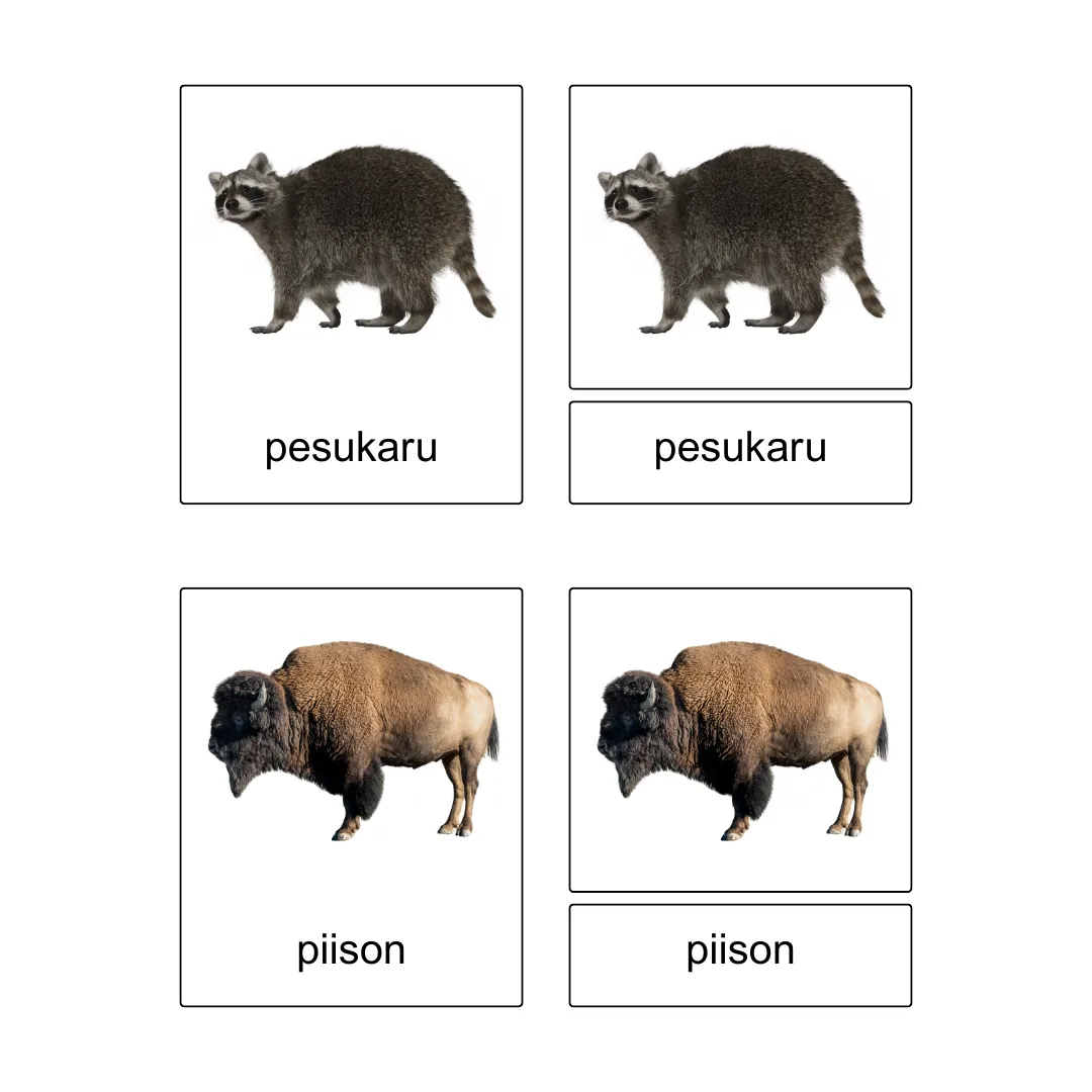 Kolmeosalised õppekaardid - Metsas - Image 6