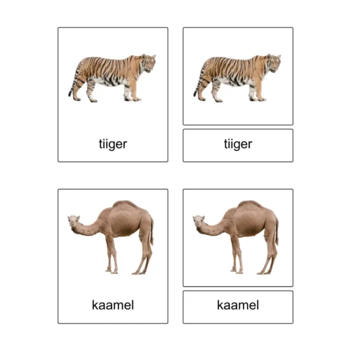 Kolmeosalised õppekaardid “Metsikud loomad”