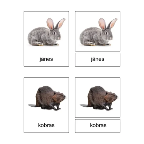 Kolmeosalised õppekaardid - Metsloomad