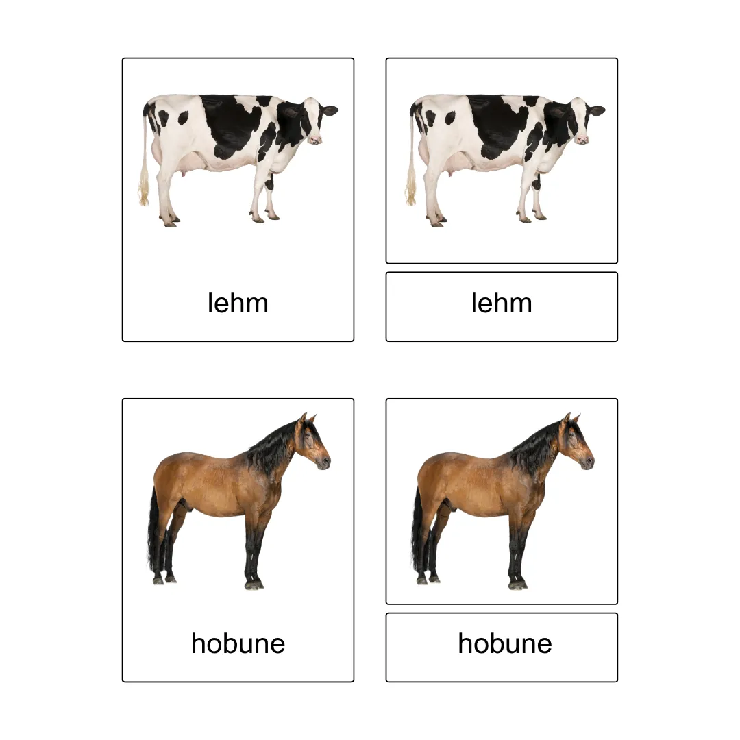 Kolmeosalised õppekaardid - Talus