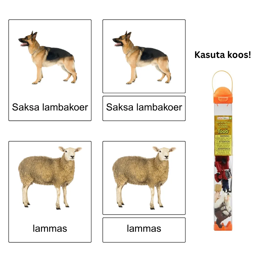 Kolmeosalised õppekaardid - Talus - Image 2