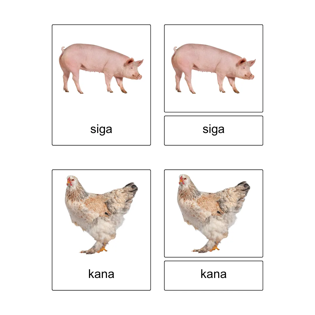 Kolmeosalised õppekaardid - Talus - Image 3