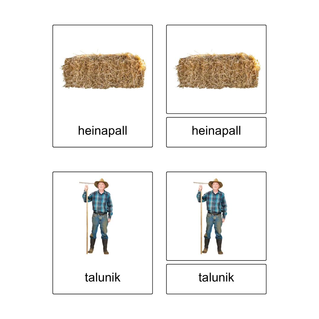 Kolmeosalised õppekaardid - Talus - Image 5